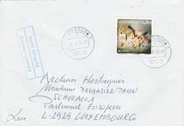 LUXEMBOURG SEUL SUR LETTRE POUR LA FRANCE 2015 - Storia Postale