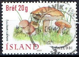 ICELAND # FROM 2002 STAMPWORLD 999 - Oblitérés