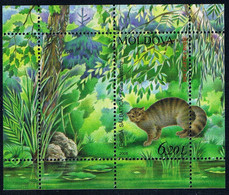 Moldavie - Chat Sauvage BF 38 (année 2006) ** - Other & Unclassified