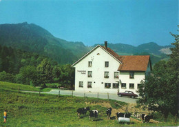 Eptingen - Bergwirtschaft Kallhof Mit Bölchenfluh           Ca. 1970 - Eptingen