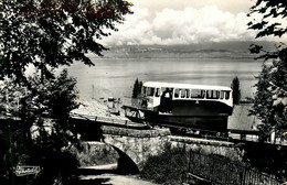 Thonon Les Bains * Chemin De Fer * Le Funiculaire Rives Thonon Et Le Lac Léman - Thonon-les-Bains