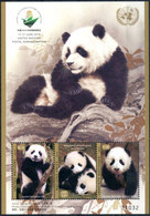ONU 2019 - China 2019 Wuhan World Stamp Exhibition 11-17 June 2019 - Goodwill Ambassadors Panda Qiqi & Diandian ** - Gezamelijke Uitgaven New York/Genève/Wenen