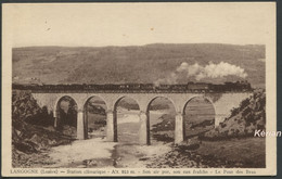Langogne - Station Climatique - Le Pont Des Bras - Le Train - CIM - Voir 2 Scans - Langogne