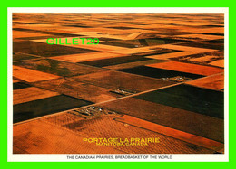 PORTAGE LA PRAIRIE, MANITOBA - VUE AÉRIENNE THE CANADIAN PRAIRIES - - Altri & Non Classificati