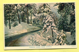 TROODOS Under Snow - Ed. Mourettos  TUCK'S PC - Year's 50 - CYPRUS. CHYPRE ZYPERN - Chipre