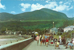 LARGER SIZED COLOURED POSTCARD - THE PROMENADE - NEWCASTLE - COUNTY DOWN - Down