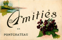 Pontchateau * Souvenir Du Village * Amitiés ! - Pontchâteau