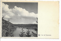 - 1455 -   WAIMES  ROBERTVILLE  Le Lac - Weismes