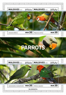 Maldives 2020   Fauna  Parrots   S202011 - Maldives (1965-...)
