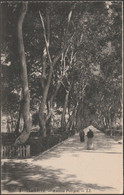Avenue Poirpre, Ismailia, C.1920 - Lévy Et Neurdein CPA LL3 - Ismaïlia