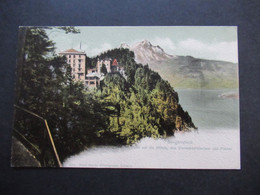 Schweiz 1902 AK Bürgenstock Blick Auf Die Hotels, Den Vierwaldstättersee Und Pilatus Verlag Emil Goetz, Luzern. - Lucerne