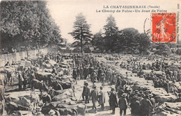 ¤¤   -   LA CHATAIGNERAIE   -  Le Champ De Foire   -  Marché Aux Bestiaux   -   ¤¤ - La Chataigneraie