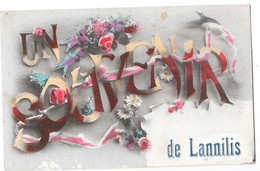 LANNILIS (29) Carte Fantaisie Un Souvenir - Andere & Zonder Classificatie