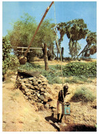 (CC 18) Territoire Francais Des Affars Et Issas Posted To France (with Stamp - 1977) - Local Irrigation In Djibouti - Sonstige & Ohne Zuordnung