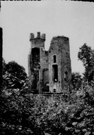 BRESSIEUX   ( ISERE )    RUINES DU CHATEAU FEODAL - Bressieux