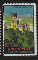 Deutsches Reich Rheinperle Burg Lahneck Am Rhein Cinderella Vignet Werbemarke Propaganda Spendenmarke - Fantasy Labels