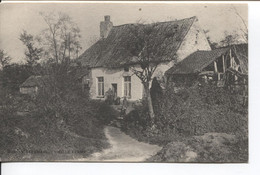 REF2895/ CP-PC Watermael Vieille Ferme Animée MINT - Watermaal-Bosvoorde - Watermael-Boitsfort