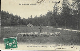 CARTE POSTALE LIFFOL LE GRAND - LES VERGÈRES - 88 VOSGES - Liffol Le Grand