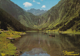 3611 - Österreich - Steiermark , Bodensee Im Seewigtal , Forellenhof , Hohe Wildstelle - Gelaufen 1986 - Schladming