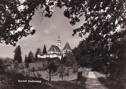 3632 - Österreich - Steiermark , Deutschlandsberg , Schloss Hollenegg - Gelaufen 1965 - Deutschlandsberg