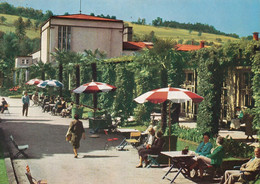 3649 - Österreich - Oberösterreich , Bad Schallerbach , Kurhaus , Palmengarten - Gelaufen 1965 - Bad Schallerbach