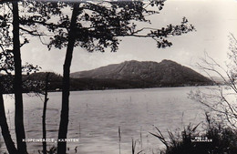 AK Klopeinersee - Kärnten  (53581) - Klopeinersee-Orte