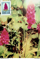 1981 Portugal (Madeira) Flores Regionais Da Madeira - Maximumkaarten