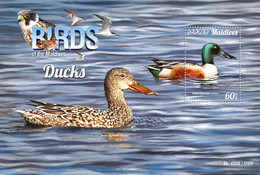 Maldives 2015 Fauna Birds , Ducks - Maldives (1965-...)