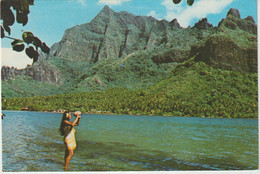 Polynésie :   , Tahiti :   Jeune  Tahitienne , Moorea - Polynésie Française