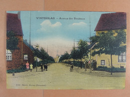 Winterslag Avenue Des Bouleaux - Genk