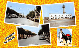 Souvenir De BATNA - Boulevard De L'Indépendance - La Nouvelle Mosquée - Avenue De La République - Âne Dessiné - Batna