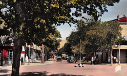 BATNA - L'Avenue De La République - Panneaux Biskra, Mac-Mahon, Constantine, Aïn-Yagout - Batna
