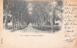 BATNA - L'allée D'Aumale - Précurseur 1903 - Batna