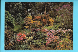 ECOSSE----ROSS-SHIRE---inverewe Garden--voir  2 Scans - Ross & Cromarty