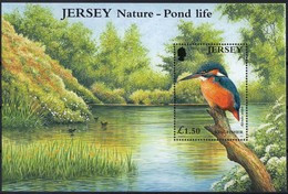 Jersey 2001 Yvertn° Bloc 35 *** MNH Cote 9 Euro Faune Oiseaux Birds Vogels Kingfisher - Jersey