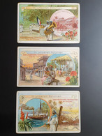 Kolonien Deutsch Ostafrika Gebrüder Daiber Sammelbilder  S. Fotos - 1914-18