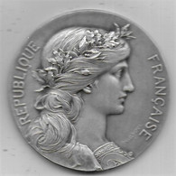 Grande Médaille En Bronze Argenté -  Souvenir De La Grande Guerre  1919 - Loi Du 5 Août 1914 - Francia