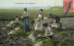 Agriculture Culture * CPA * La Récolte Des Légumes * Poireaux * Scène Agricole - Culturas