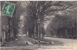 45.  COURTENAY . CPA. PROMENADE DES ORMES. ANNEE 1911  + TEXTE - Courtenay