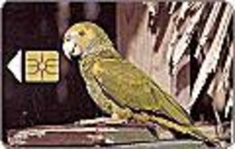 BONAIRE : BON 10 A? 20 Yellow-Shouldered Parrot USED - Antillen (Niederländische)