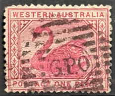 WESTERN AUSTRALIA 1888 - Canceled - Sc# 59 - 1d - Used Stamps