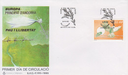 Enveloppe  FDC  1er  Jour   ANDORRA   ANDORRE     EUROPA    1995 - Sonstige & Ohne Zuordnung