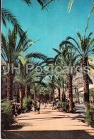 Delcampe - Valencia - Avenida De Jose Antonio - 1962 - Spain - Used - Valencia