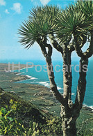 Delcampe - Tenerife - Costa Norte - 2433 - Spain - Unused - Tenerife
