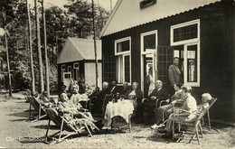 Nederland, ERMELO, Chr. Blindenoord Dennenheul (1953) Ansichtkaart - Ermelo