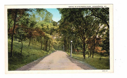 HENDERSON, Kentucky, USA, Drive In Henderson Park, Old WB Postcard - Henderson