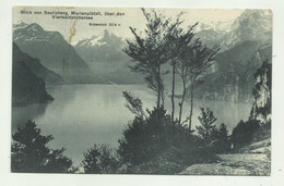 BLICK VON SEELISBERG, MARIENPLATZLI, UBER DEN VIERWALDSTATTERSEE 1909 VIAGGIATA  FP - Seelisberg