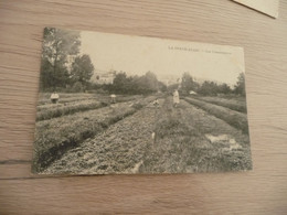 CPA 91 Essonne La Ferté Alais Les Cressonnières - La Ferte Alais