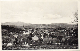 EMMENDIGEN - Blick Auf Den Kandel - Emmendingen