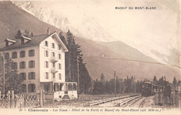 74-CHAMONIX-LES TINES, HÔTEL DE LA FORÊT ET MASSAF DU MONT-BLANC - Chamonix-Mont-Blanc